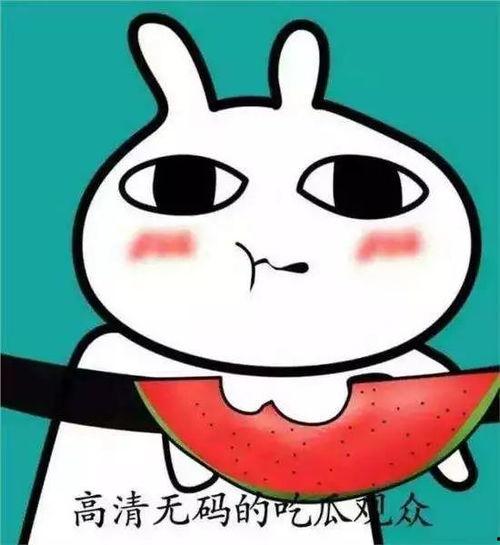 吃瓜表情说明什么,揭秘网络社交中的窥探与娱乐